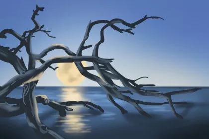 你的胃是好是坏？通过手相看胃的状况