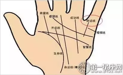 7中偏财运极佳的手相