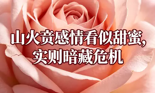 山火贲感情看似甜蜜，实则暗藏危机