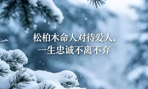 松柏木命人对待爱人，一生忠诚不离不弃