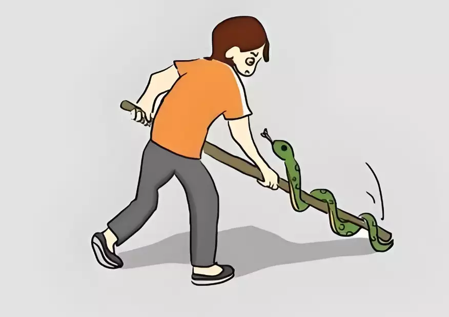 梦见打蛇是啥预兆？解析梦境中的寓意