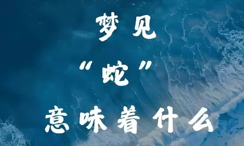 梦见死蛇，预示着这3件大事即将发生在你身上