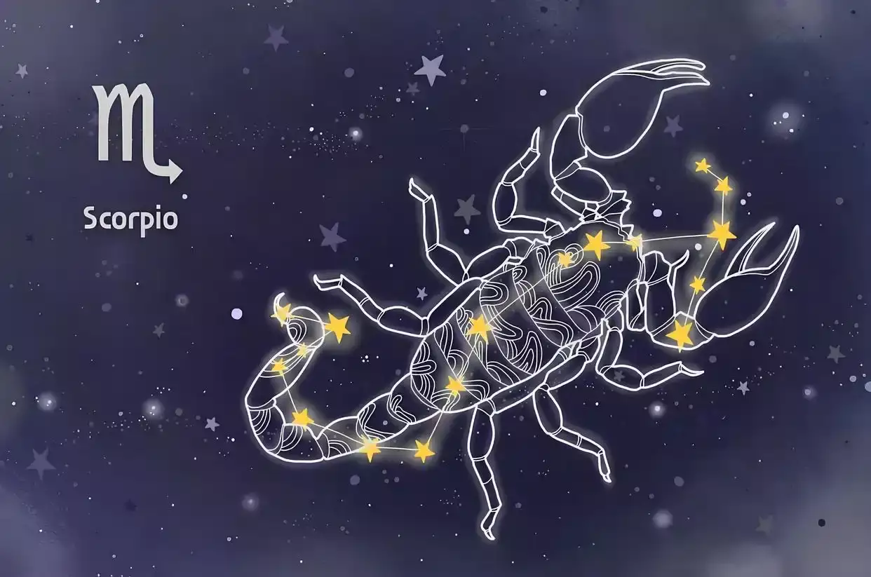 11月11日是什么星座？看看天蝎座有多特别