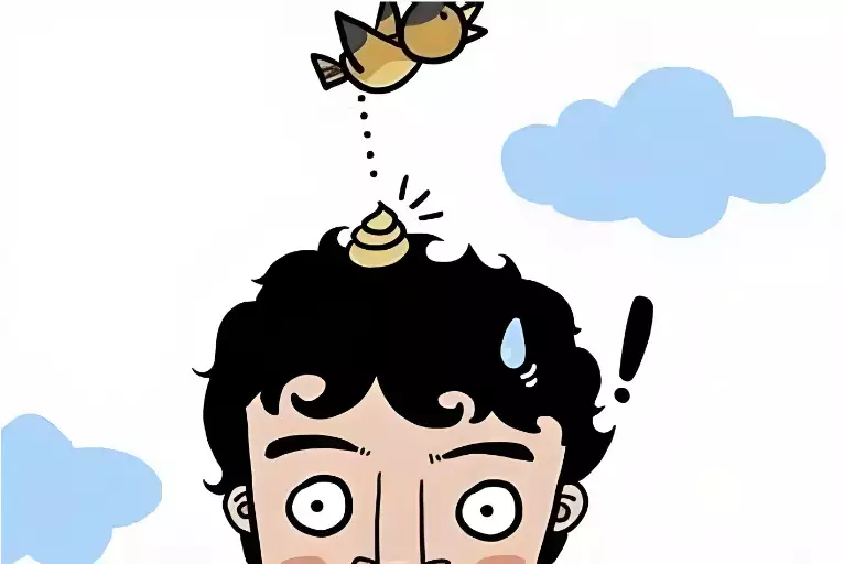 鸟屎掉身上有什么预兆？身上沾染鸟屎如何化解