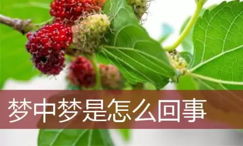 梦中梦无法醒来？到底有何含义