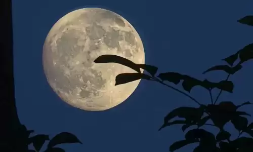 破月出生的人难道真的命运不好么