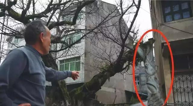 温州风水师解析温州人为何如此深信风水文化？
