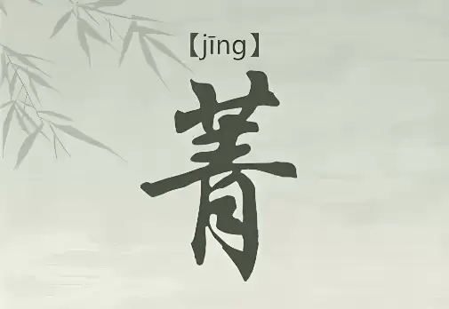 带菁字的女孩名字有哪些？寓意解析与精选名字推荐