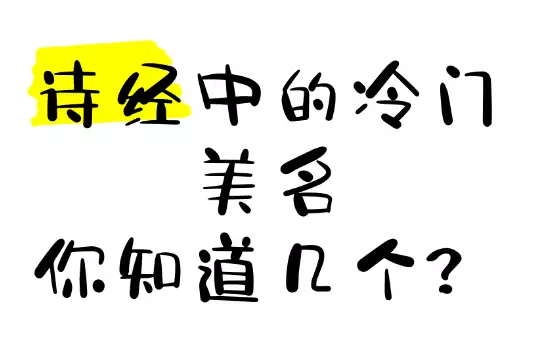 诗经里冷门惊艳的名字，别致又迷人