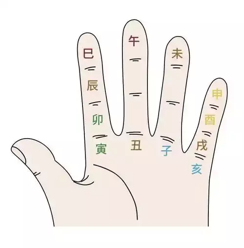 什么是地支？十二地支与生肖五行