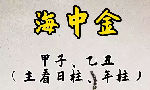 海中金命是什么意思 1985年海中金命缺什么
