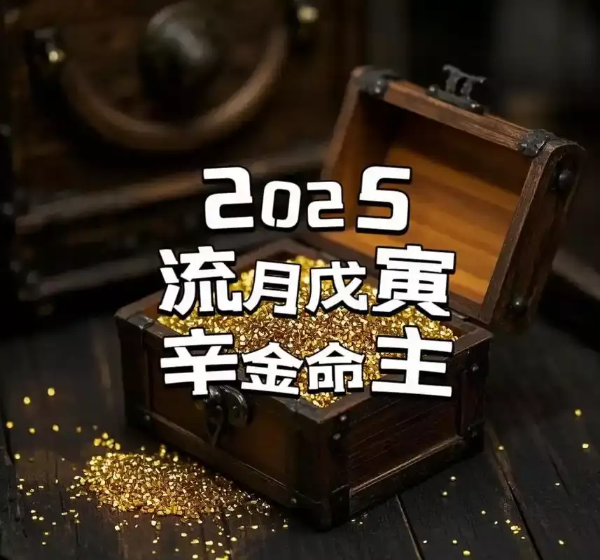 辛金命人的优缺点全解析