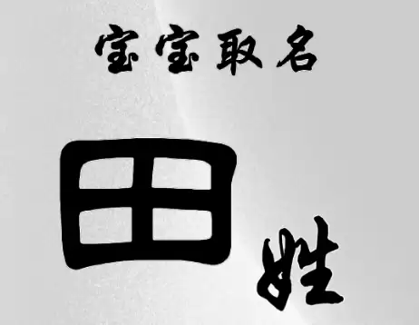 给田姓宝宝起名，音律顺寓意佳