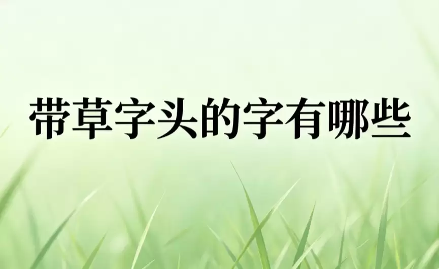 带草字头的字有哪些？清新草字头女宝名字