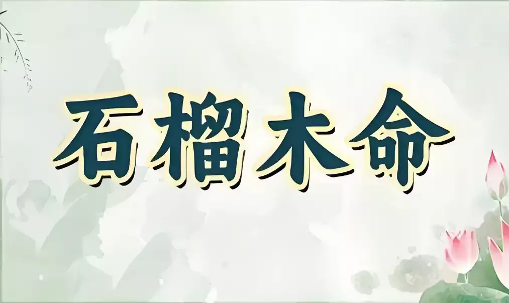 石榴木命的人做什么容易发大财