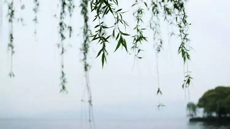 杨柳木命女孩五行缺失及提升运势技巧