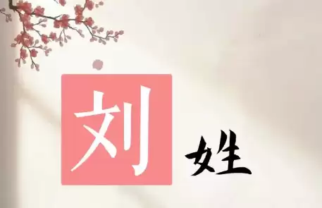 姓刘的男孩名字，值得参考的好选择