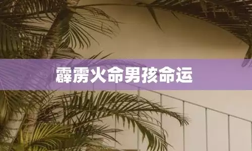 霹雳火命的男孩命运好吗