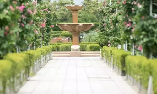 坟地的风水如何看？有什么注意事项