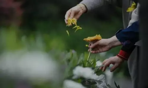 家中女儿上坟的注意事项