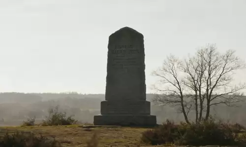 福泽后代给家中老人立碑，一年总应该避免哪个月份