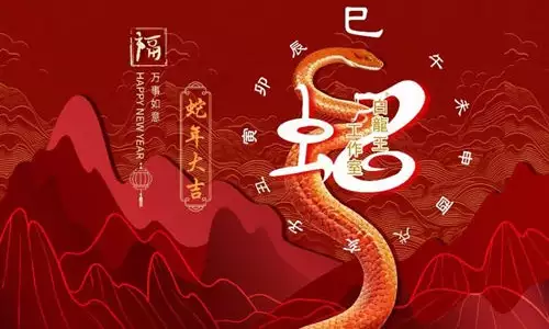 解析2025年生肖属蛇人的流年运程
