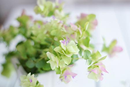 6月中哪些已婚生肖的运势会下滑