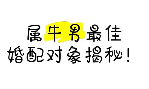 属牛男的最佳婚配究竟是谁