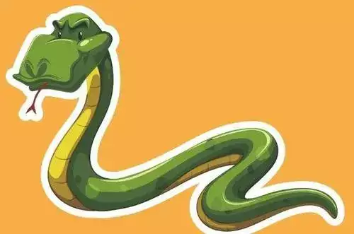 揭秘蛇和什么属相最配