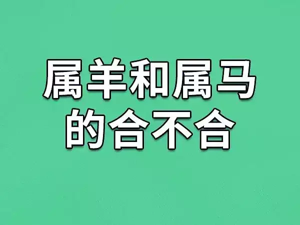 羊马婚姻，合适与否？