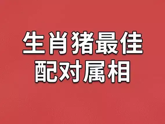属猪女最佳婚配属相，最懂你的那个他