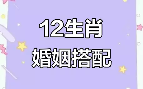 12生肖配对，看看你和谁最有缘