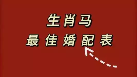 属马的最佳婚配 找到最合拍的那个TA
