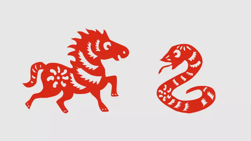 蛇和马生肖的婚姻如何相处？属蛇和属马婚配优缺点