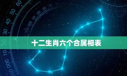 六合属相表 解密你的属相有哪些合拍对象
