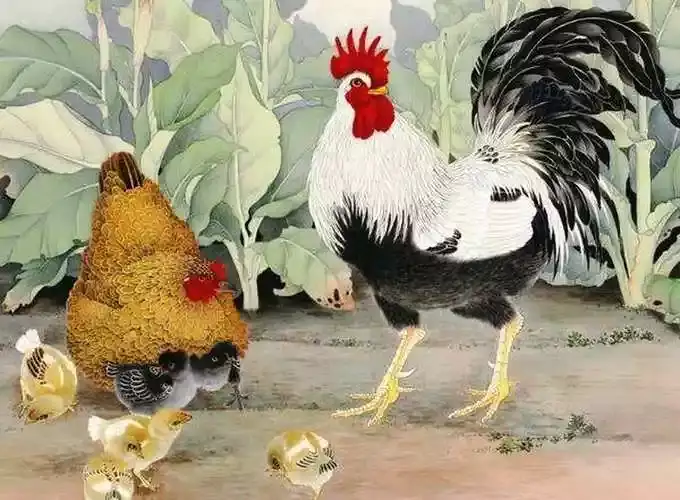 属鸡和什么属相最配 生肖鸡和谁最适合结婚