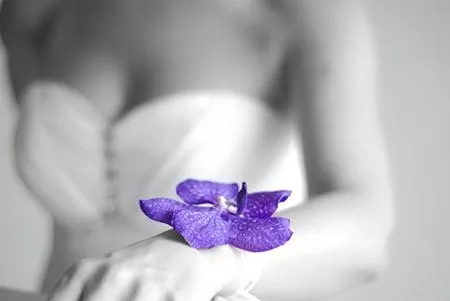 属鼠O血型人的性格