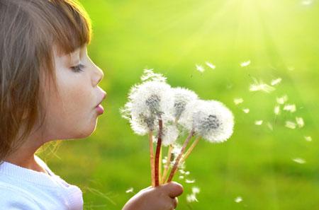 天生闷葫芦的生肖