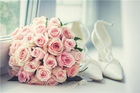 头脑聪慧且擅长思考的生肖