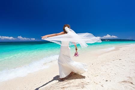 12生肖中的伪善小人