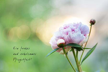 哪些生肖心里藏不住事