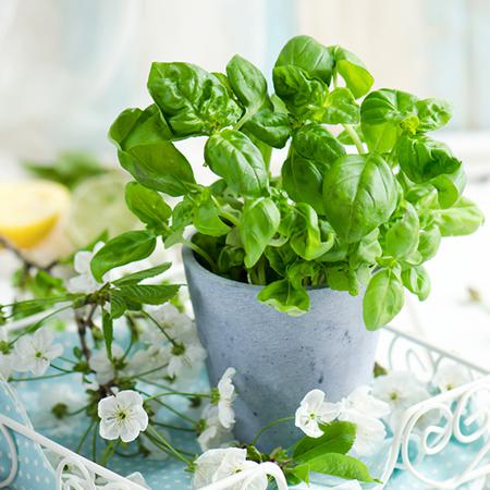 极品铁公鸡生肖男