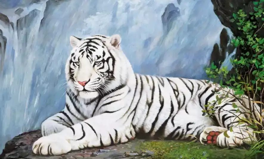 属虎的女人脾气特点与性格优缺点分析