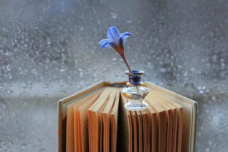 属蛇人最怕什么属相