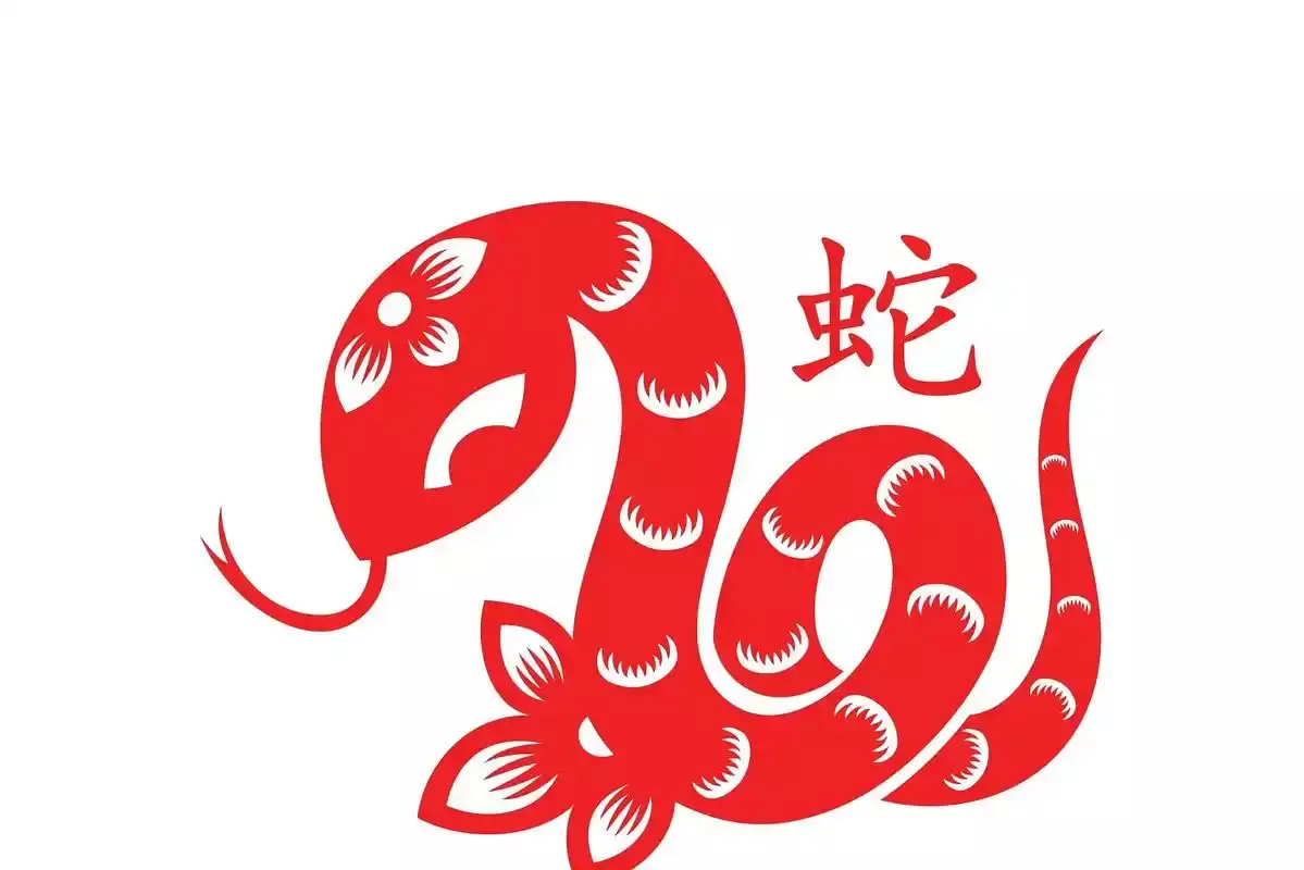 生肖蛇今日运势 今天的生肖蛇运气怎样