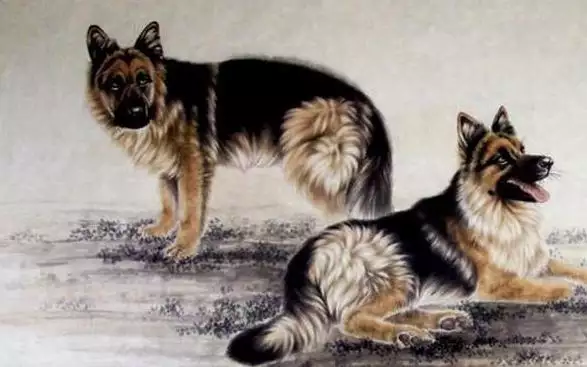 狗年出生的人的命运，平淡却精彩