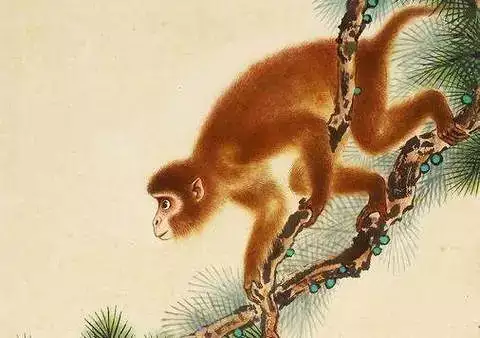属猴人今年最怕什么，2024年属猴大忌