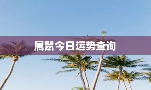 属鼠今日运势怎么样？财神方位在哪