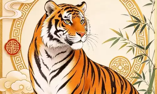 生肖虎今日运势，身边会有新动态出现