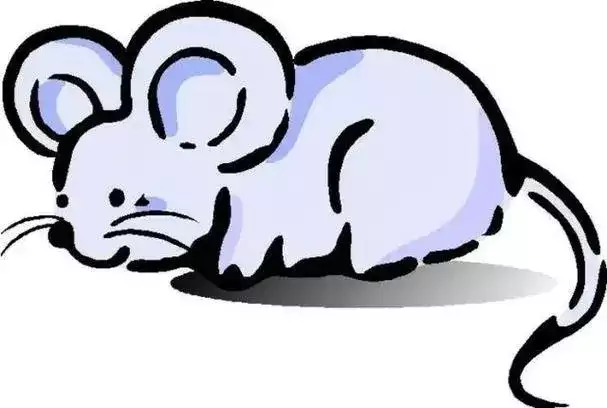 96年属什么的生肖？和哪个属相最相配